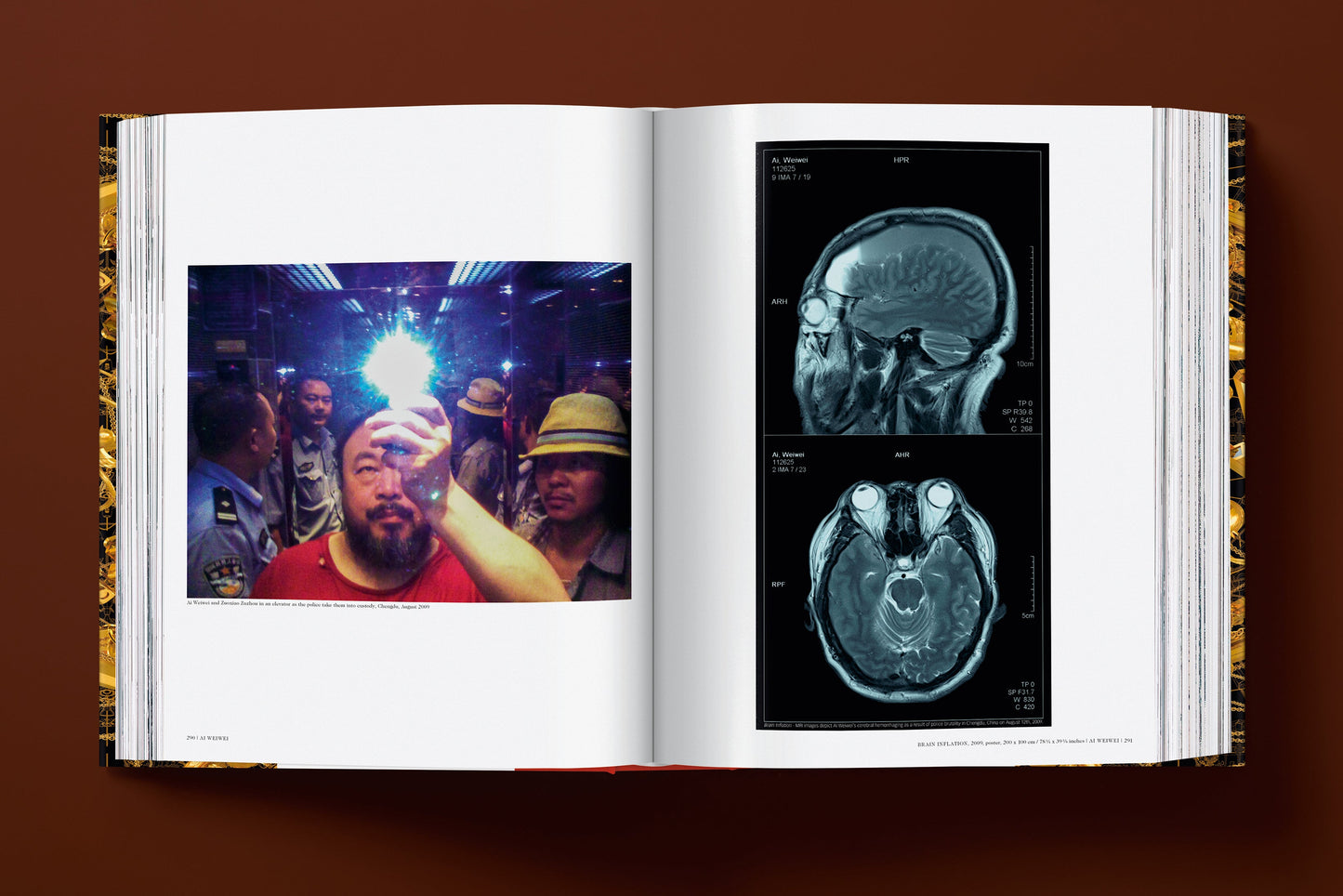 Ai Weiwei. Updated Edition (German, French, English)