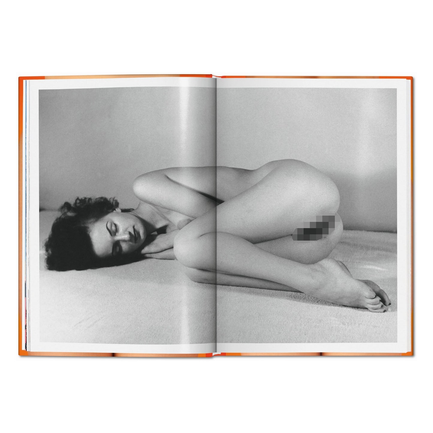 The Little Big Book of Pussy (German, French, English)