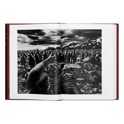 Sebastião Salgado. Genesis (English)