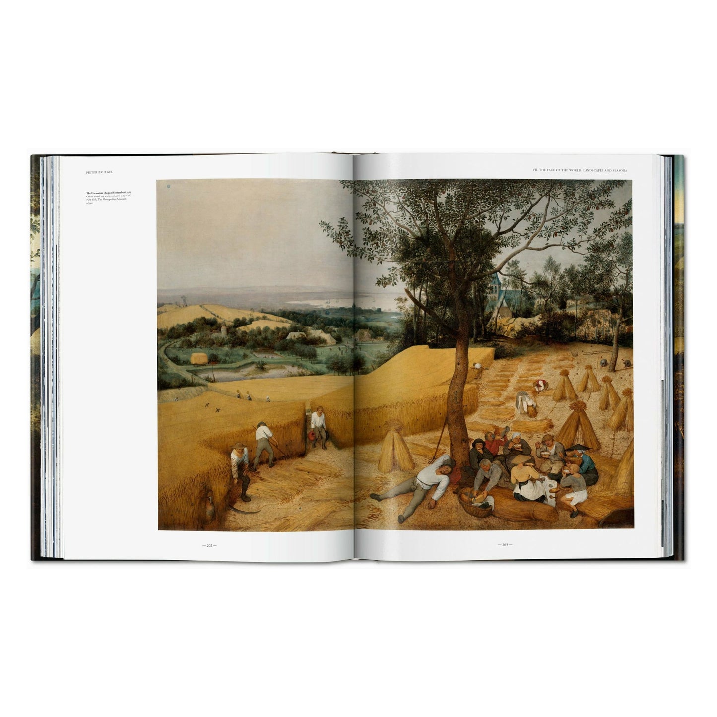 Bruegel. The Complete Works (English)