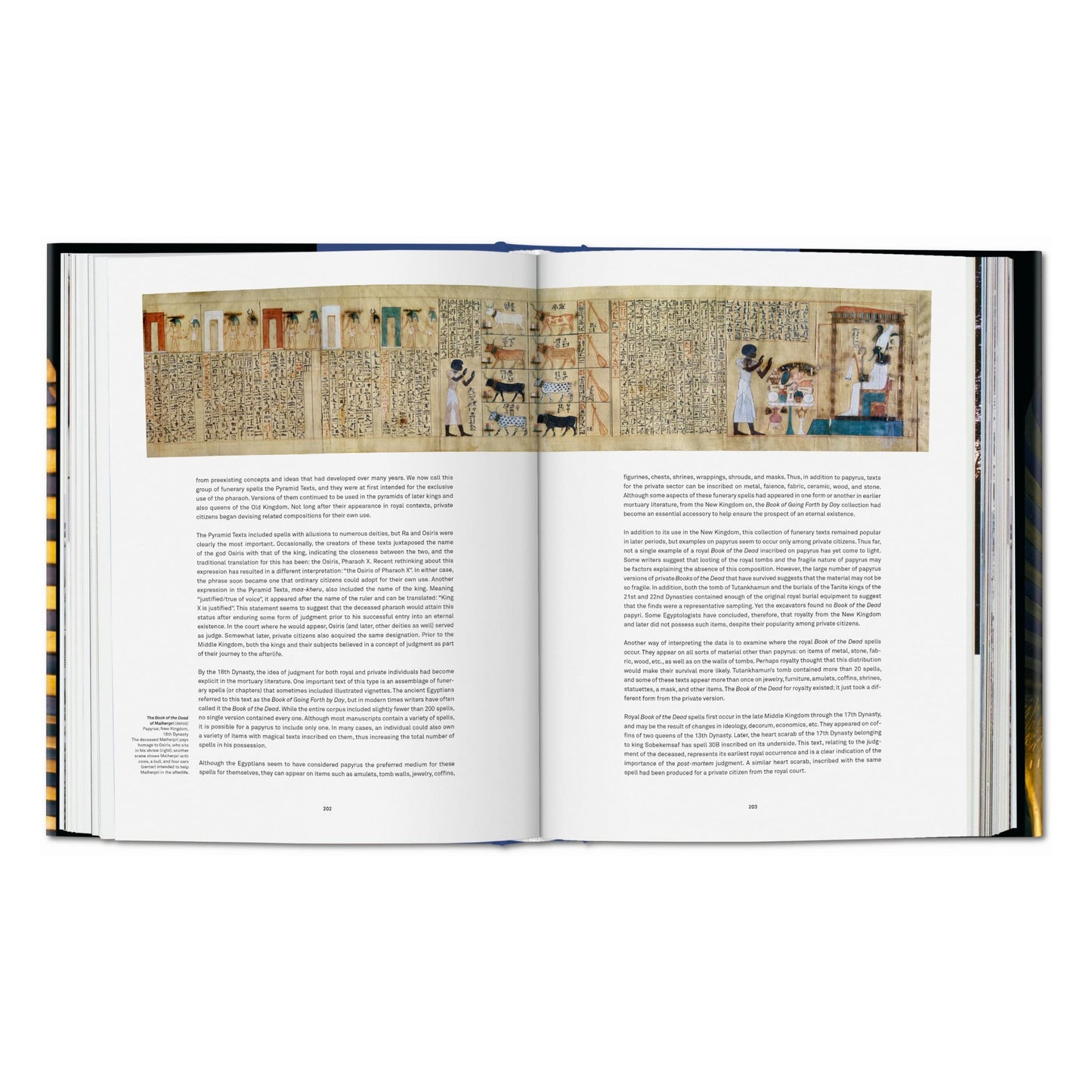 King Tut. The Journey through the Underworld (English)