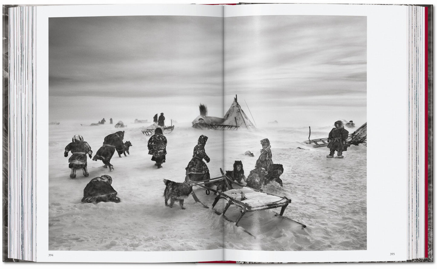 Sebastião Salgado. Genesis. 45th Ed. (English)