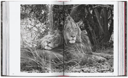 Sebastião Salgado. Genesis. 45th Ed. (English)