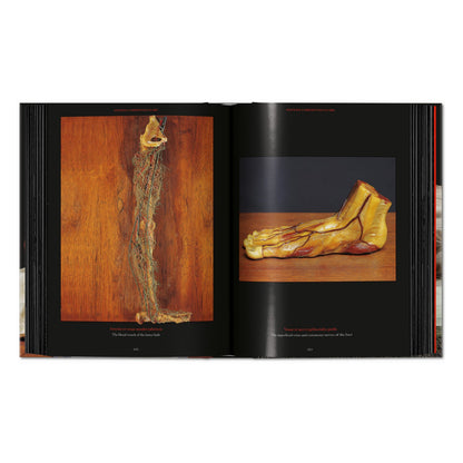 Anatomical Waxes. 45th Ed. (German, French, English)