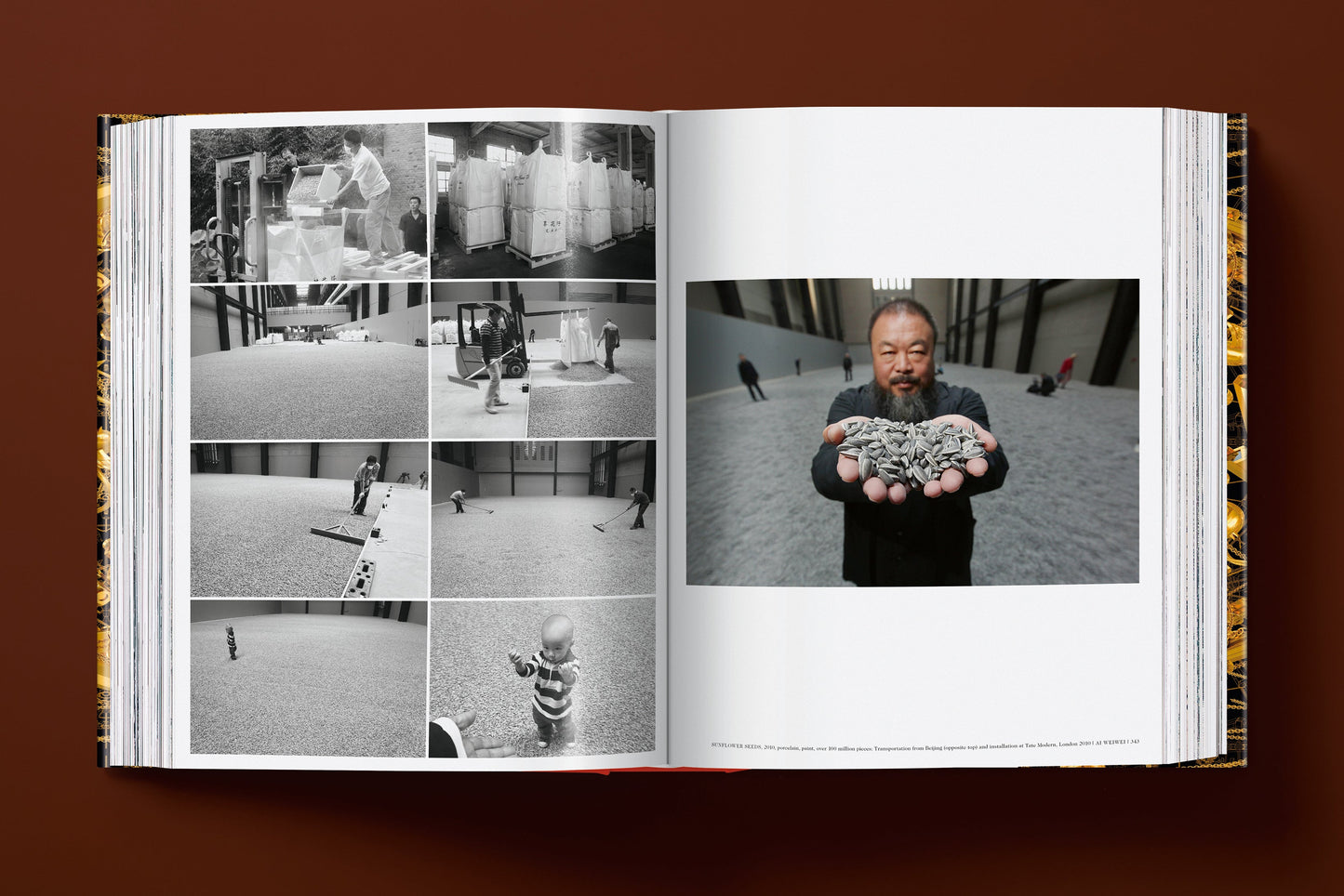 Ai Weiwei. Updated Edition (German, French, English)