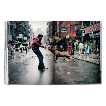 New York. Portrait of a City (German, French, English)