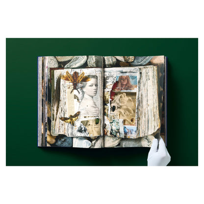 Peter Beard (German, French, English)