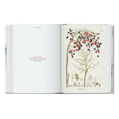 Martius. The Book of Palms. 45th Ed. (German, French, English)