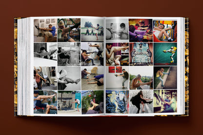 Ai Weiwei. Updated Edition (German, French, English)