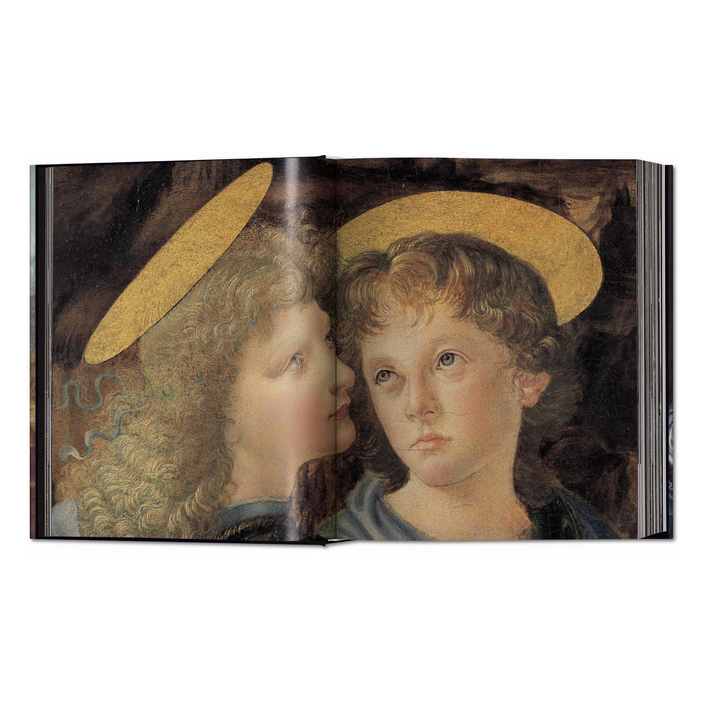 Leonardo. The Complete Paintings and Drawings (English)