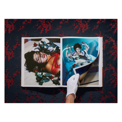 Araki. Bondage (English)