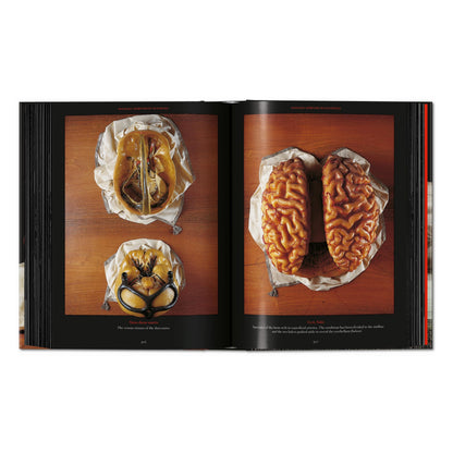 Anatomical Waxes. 45th Ed. (German, French, English)