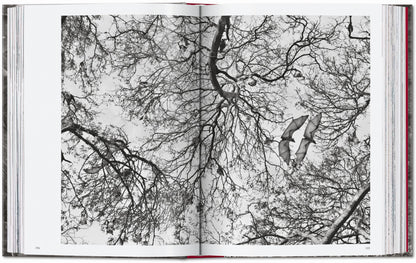 Sebastião Salgado. Genesis. 45th Ed. (English)