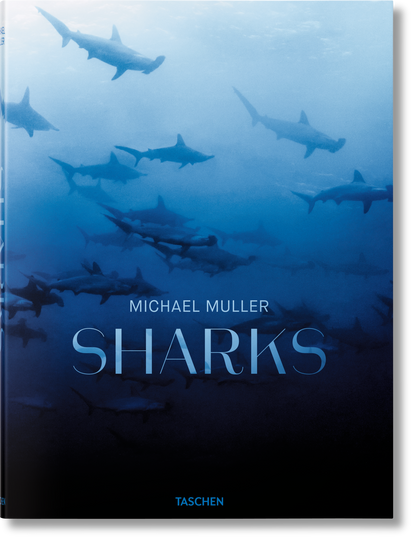 Michael Muller. Sharks (English)