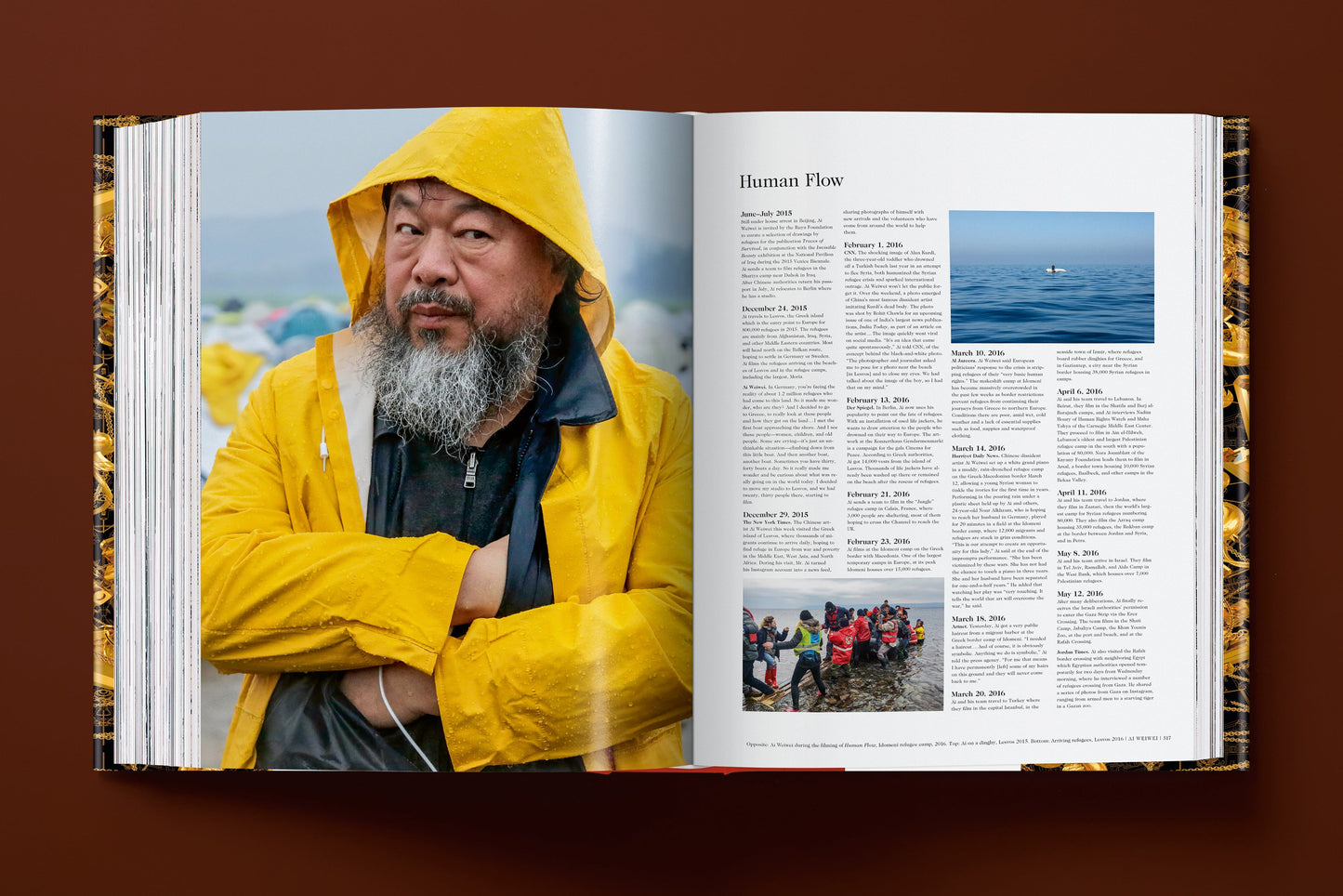 Ai Weiwei. Updated Edition (German, French, English)