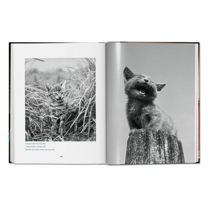 Walter Chandoha. Cats. Photographs 1942–2018 (German, French, English)
