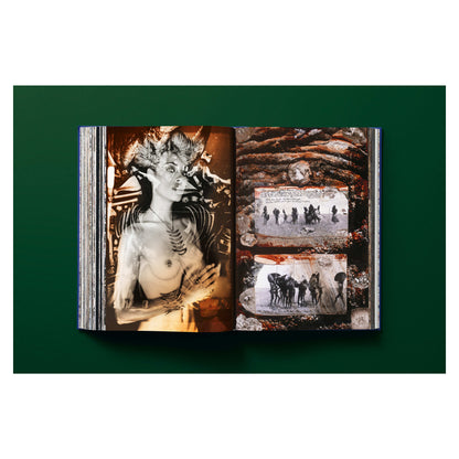 Peter Beard (German, French, English)