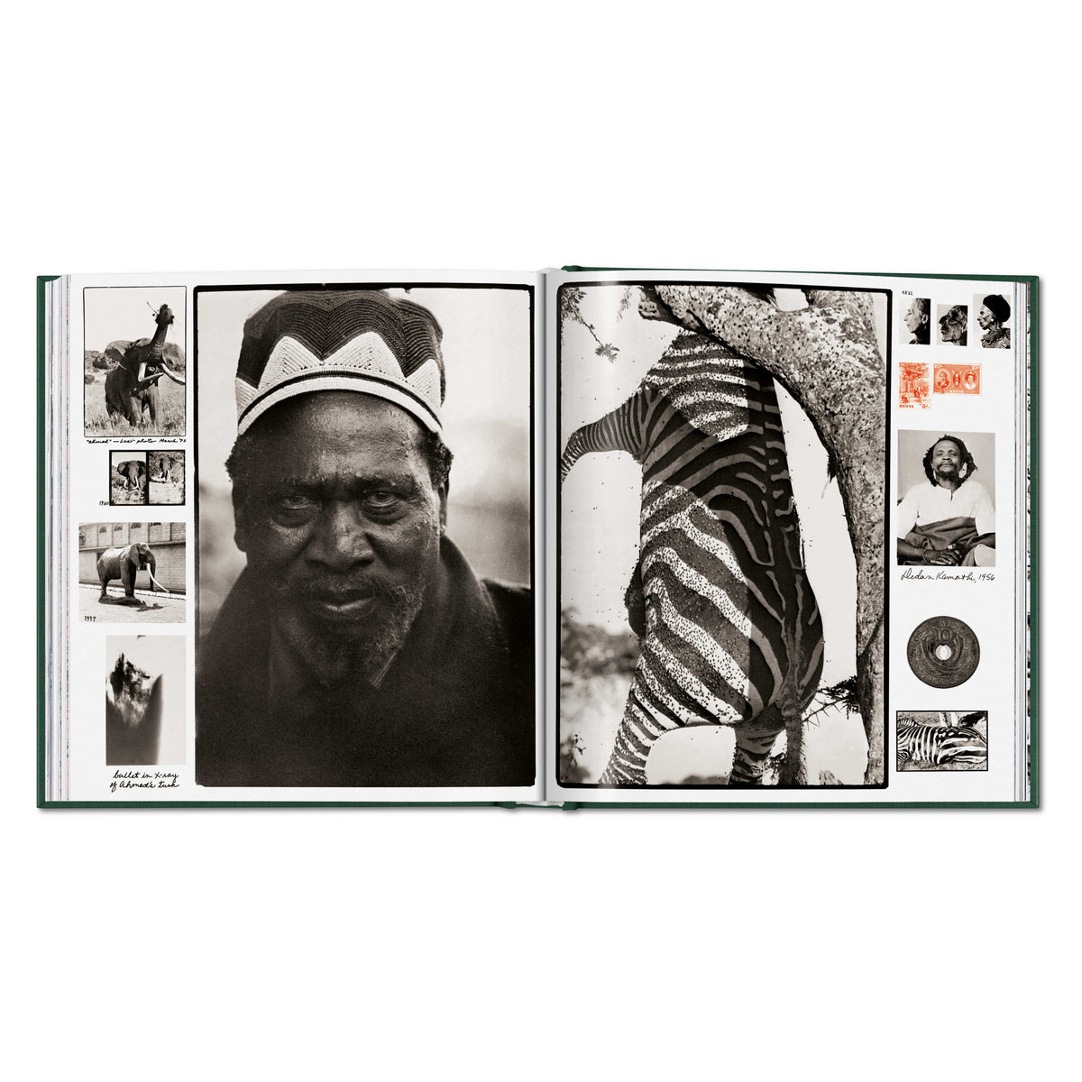 Peter Beard. The End of the Game (English)