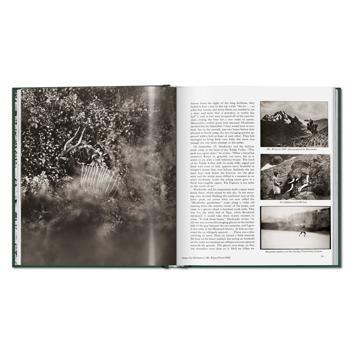 Peter Beard. The End of the Game (English)