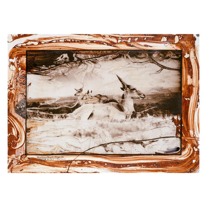 Peter Beard (German, French, English)