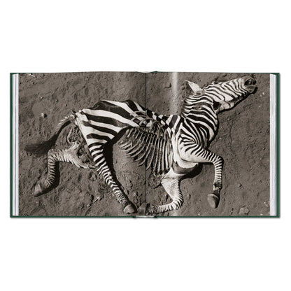 Peter Beard. The End of the Game (English)