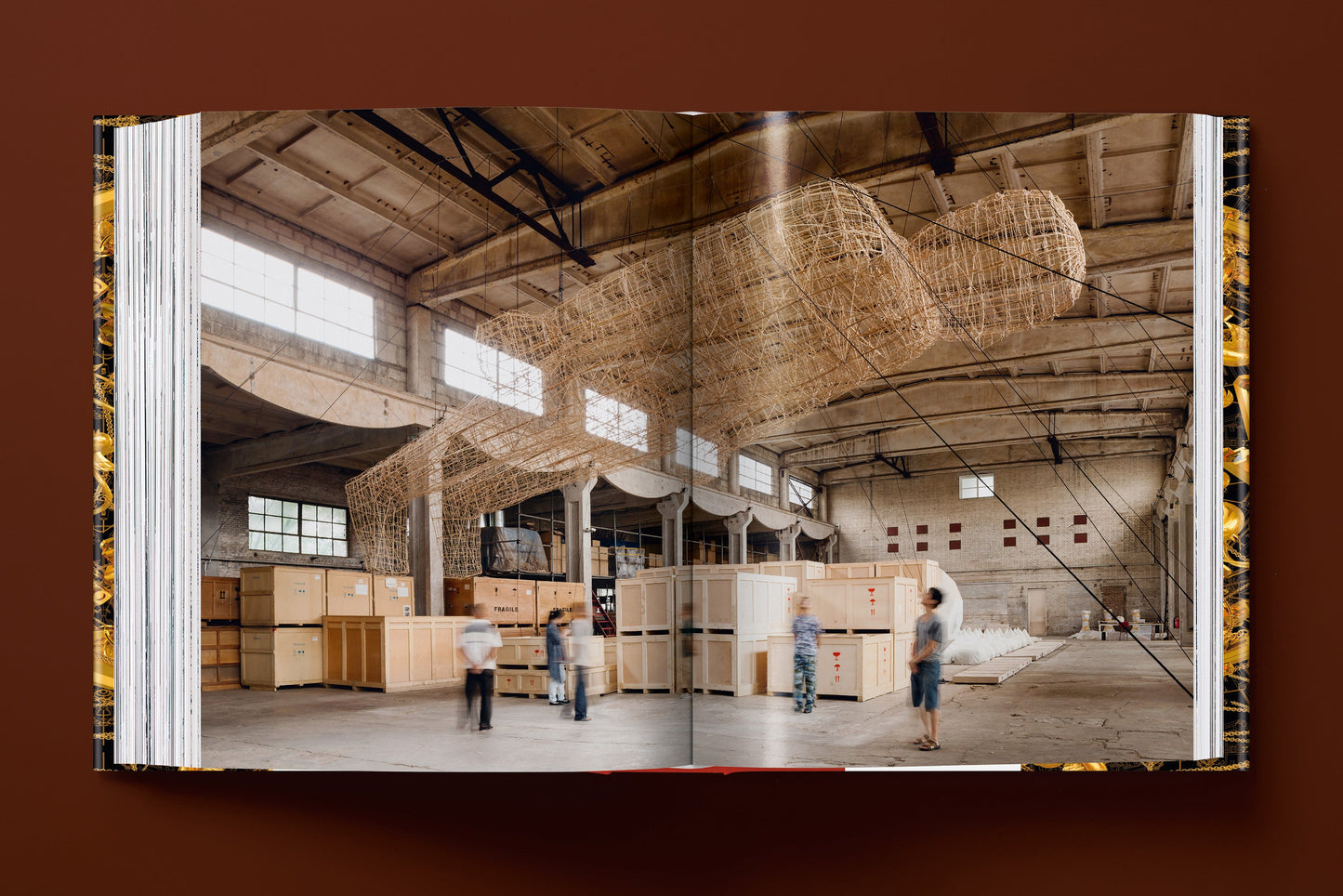 Ai Weiwei. Updated Edition (German, French, English)