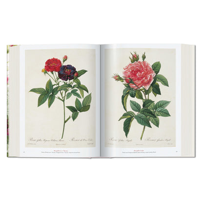 Redouté. The Book of Flowers (German, French, English)