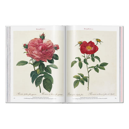 Redouté. Roses (German, French, English)