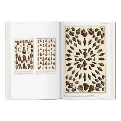 Seba. Cabinet of Natural Curiosities (German, French, English)