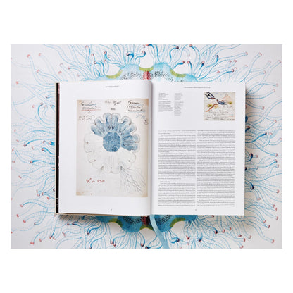 The Art and Science of Ernst Haeckel (German, French, English)