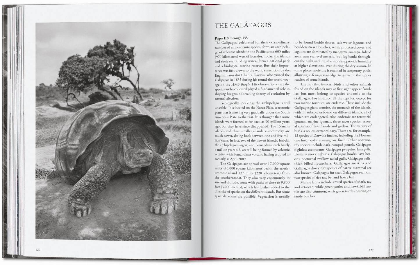 Sebastião Salgado. Genesis. 45th Ed. (English)