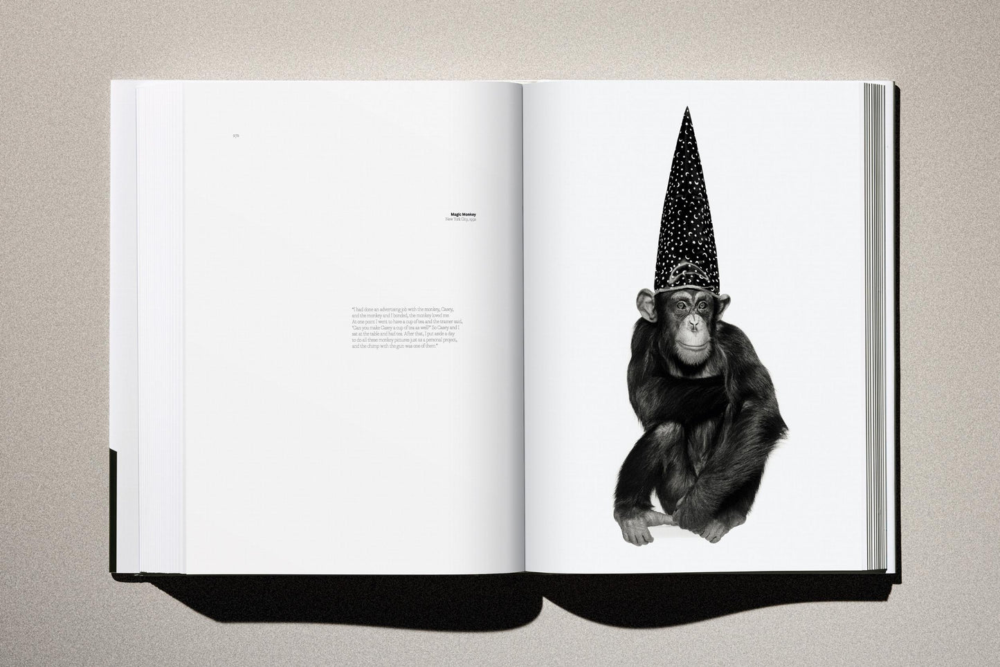 Albert Watson. Kaos (German, French, English)