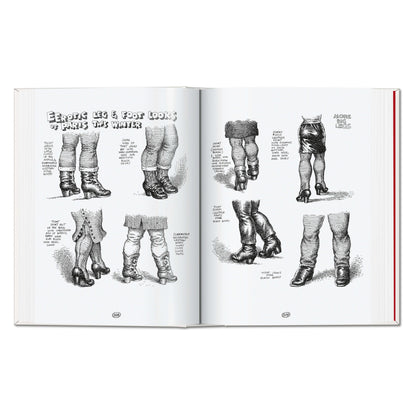 Robert Crumb. Sketchbook Vol. 4. 1982–1989 (English)