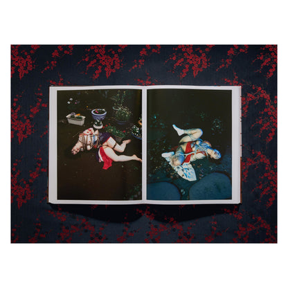 Araki. Bondage (English)