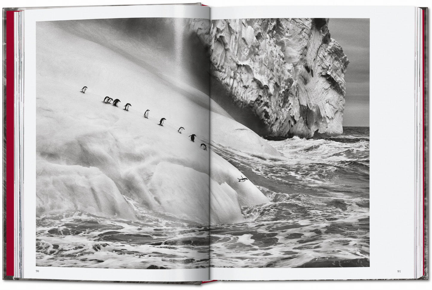 Sebastião Salgado. Genesis. 45th Ed. (English)