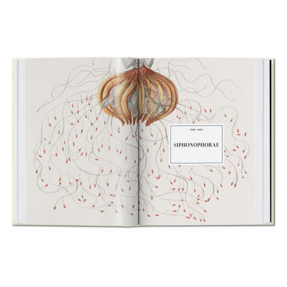 The Art and Science of Ernst Haeckel. 45th Ed. (English)