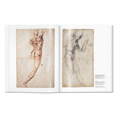 Michelangelo (English)