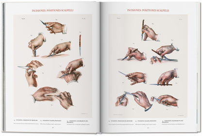Bourgery. Atlas of Human Anatomy and Surgery (German, French, English)