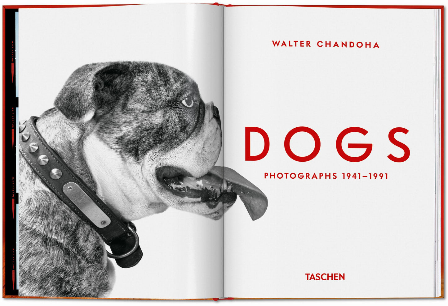 Walter Chandoha. Dogs. Photographs 1941–1991 (English)
