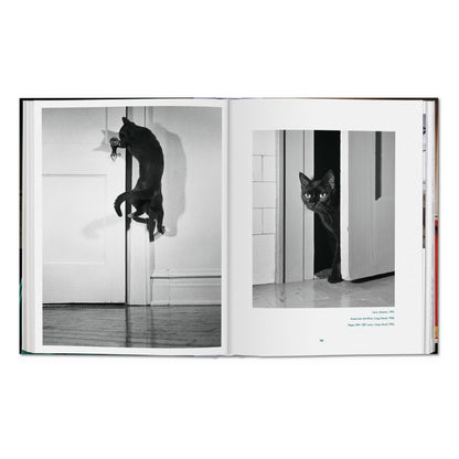 Walter Chandoha. Cats. Photographs 1942–2018 (German, French, English)