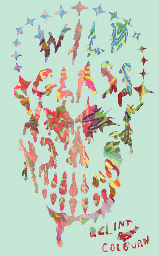 Wild Glass Look Back