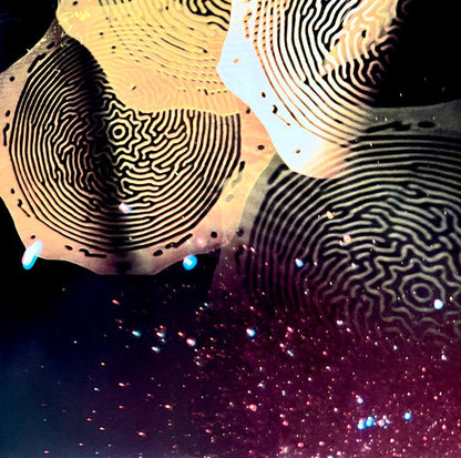 See Through You COLOR | Mint (M) Mint (M)