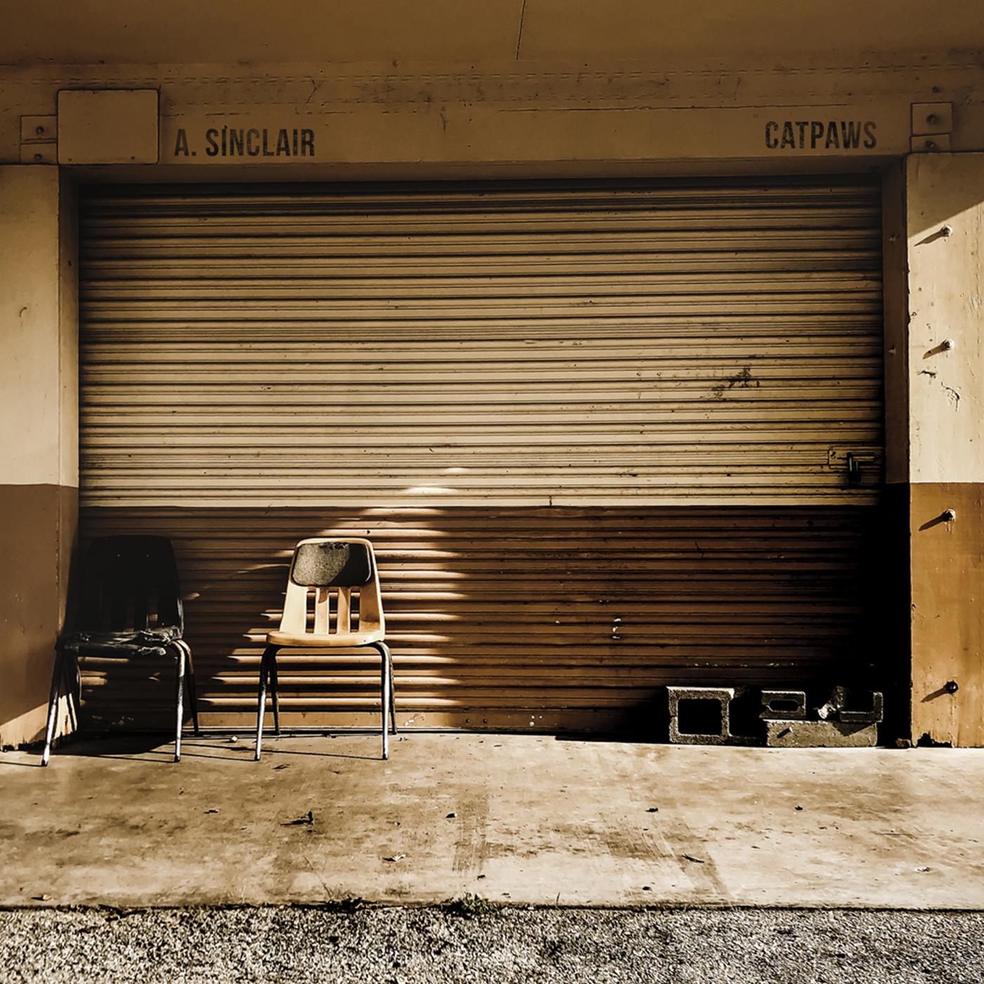 Catpaws | Mint (M) Mint (M)