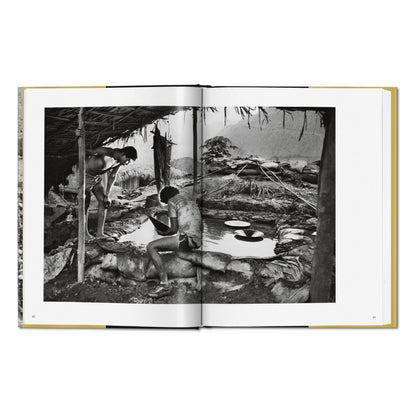 Sebastião Salgado. Gold (German, French, English)