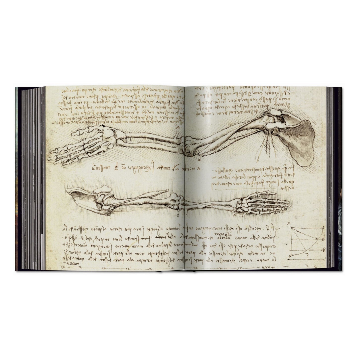 Leonardo. The Complete Paintings and Drawings (English)