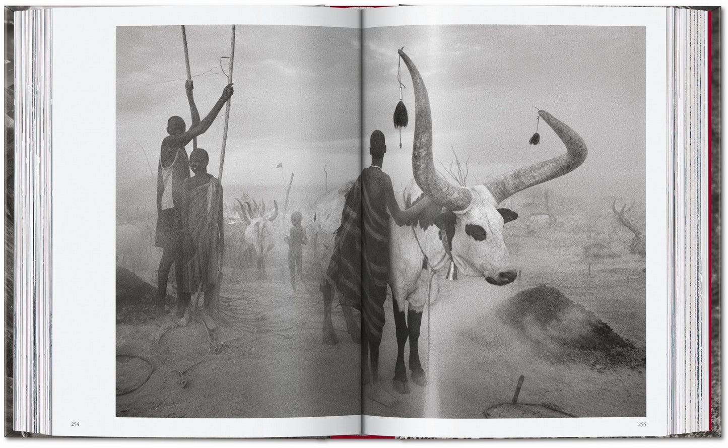 Sebastião Salgado. Genesis. 45th Ed. (English)