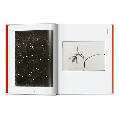 Karl Blossfeldt. The Complete Published Work. 45th Ed. (German, French, English)