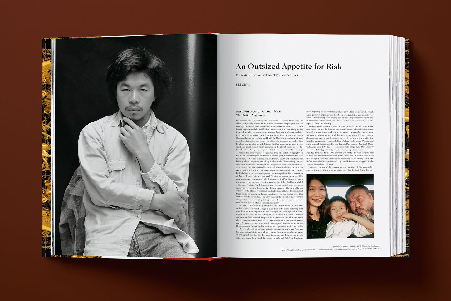 Ai Weiwei. Updated Edition (German, French, English)