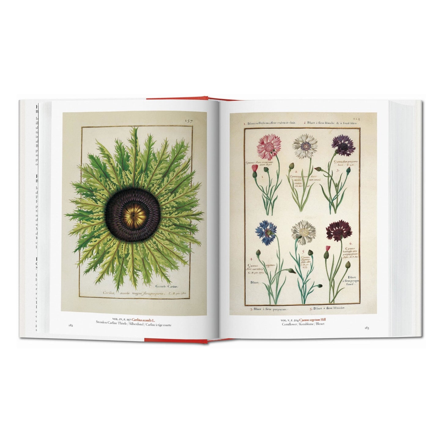 A Garden Eden. Masterpieces of Botanical Illustration. 45th Ed. (German, French, English)
