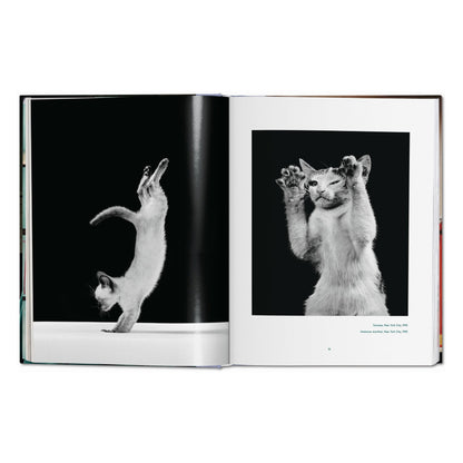 Walter Chandoha. Cats. Photographs 1942–2018 (German, French, English)